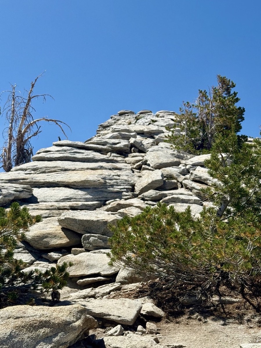 The rocky granite approach to the summit of Clouds Rest