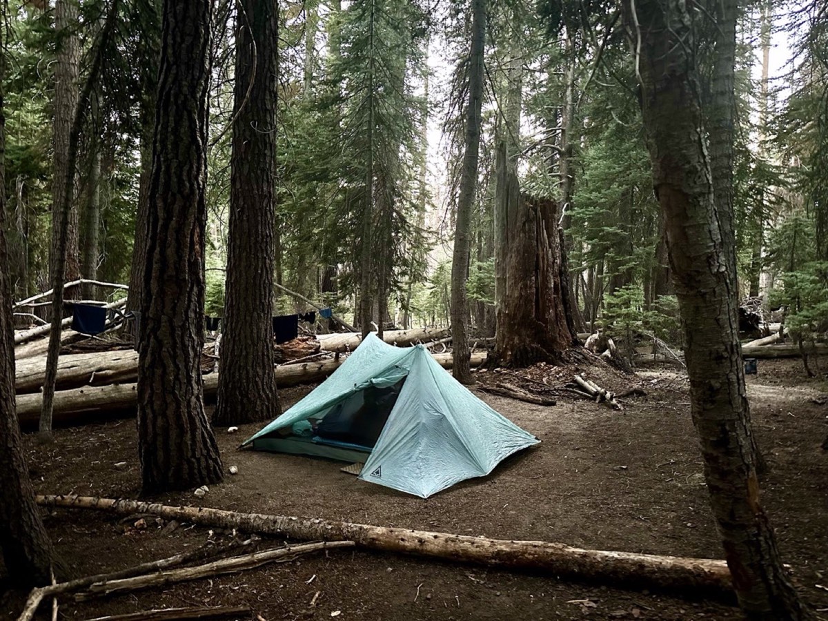 A lightweight tent pitched among tall trees near Sunrise Creek